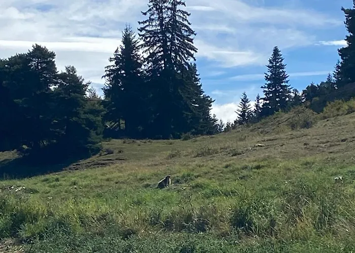 Апартаменты Romelie *